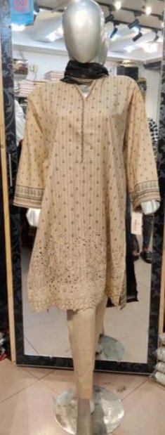 Bin Saeed Embroidered Lawn 3 PCs Suit